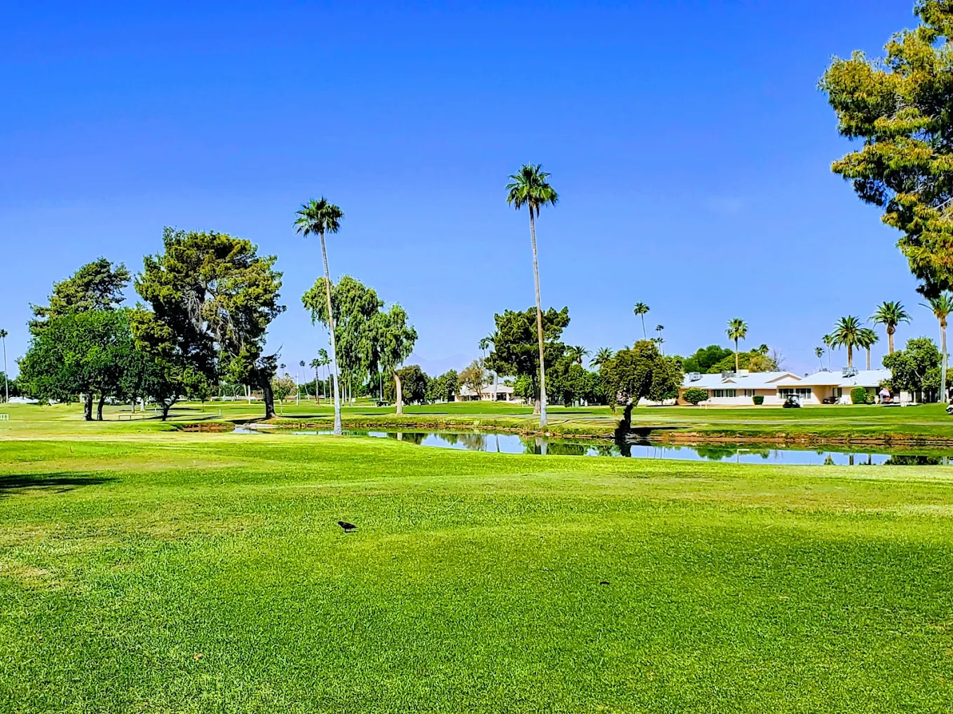 Lakes West Golf Course Lakes West Golf Course in Sun City, Arizona