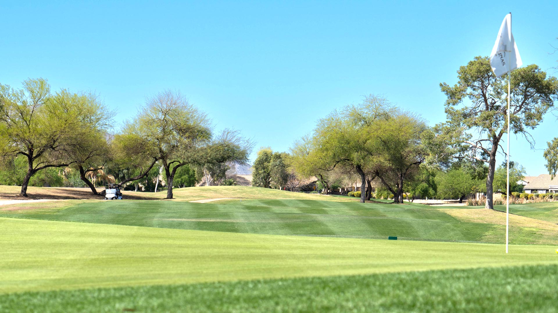 Las Colinas green in Queen Creek, Arizona