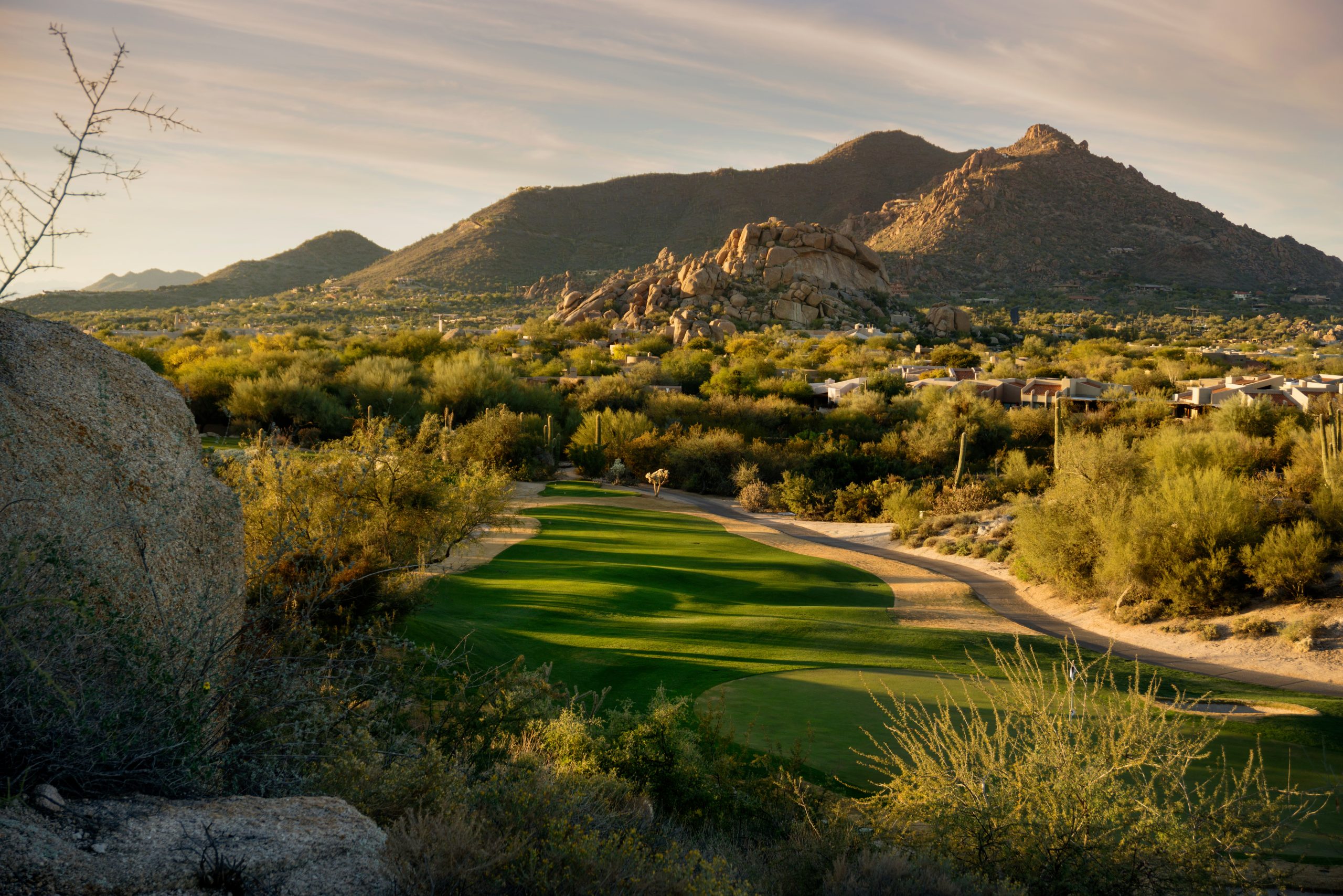 Arizona desert landscape scene,Scottsdale,AZ